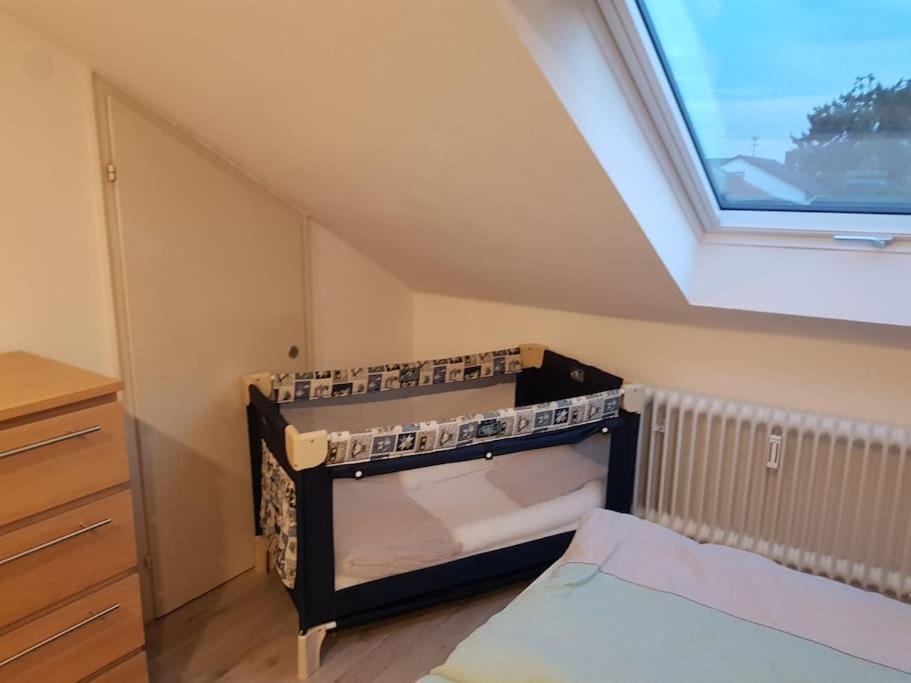 Gemuetliche Wohnung Bei Bad Waldsee Mit Balkon المظهر الخارجي الصورة