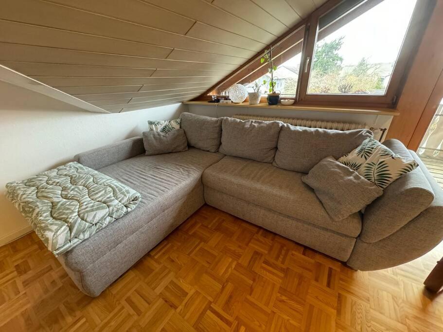Gemuetliche Wohnung Bei Bad Waldsee Mit Balkon المظهر الخارجي الصورة